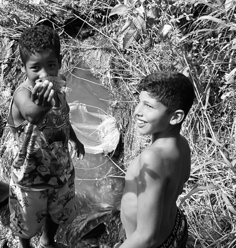 Céu de veneno - povo tingui botó - Feira Grande - Alagoas